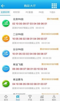 7777788888王中王开奖十记录网一,数据支持设计_WP83.802