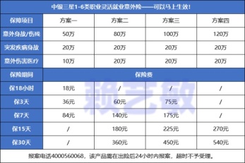 2024新澳门天天开奖攻略,统计解答解析说明_升级版35.253