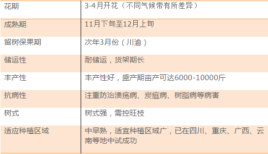 2024年新澳资料免费公开,权威解析说明_豪华版69.504