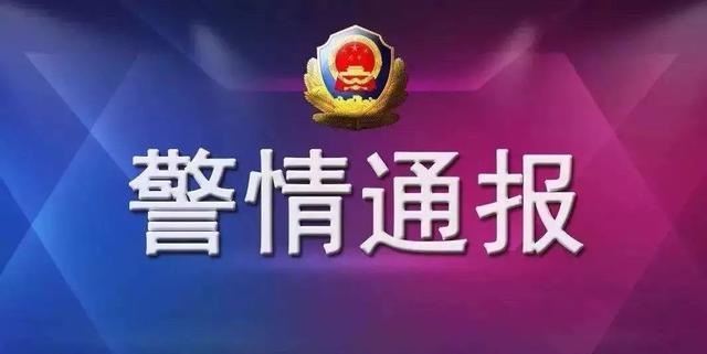 仪陇新政最新招聘信息全面解析