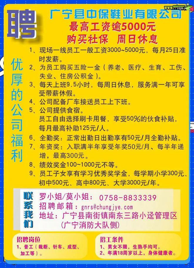 普宁人才网最新招聘动态全面解析