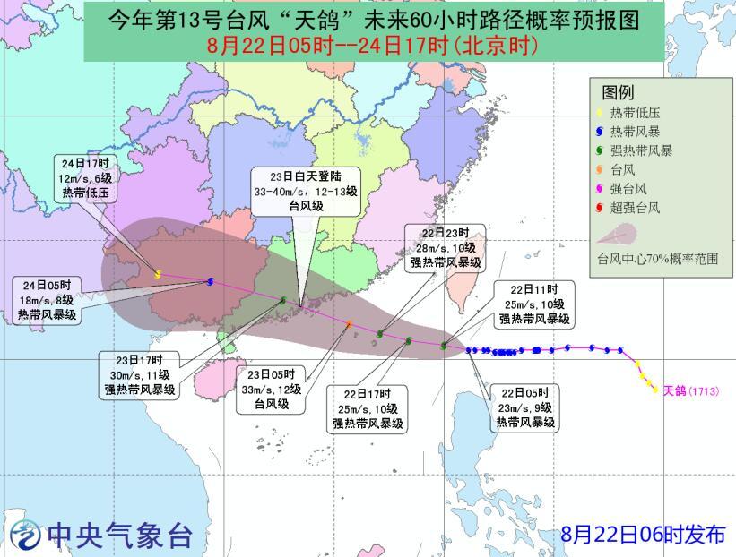 天鸽直播最新路线探索与深度体验